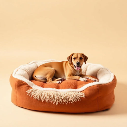 Terracotta and cream orthopedic dog bed