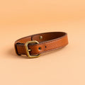 Tan leather dog collar with brass buckle